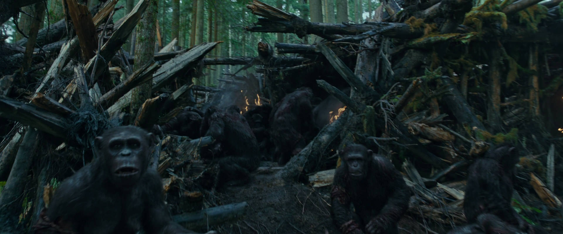 War for the Planet of the Apes (2017) movie still 769