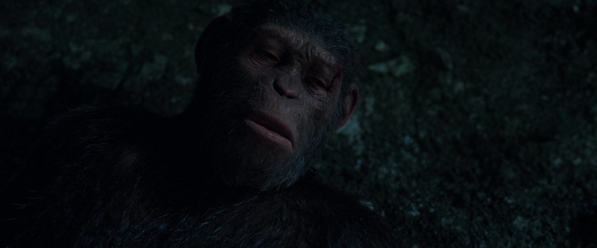 War for the Planet of the Apes (2017) movie still 7690