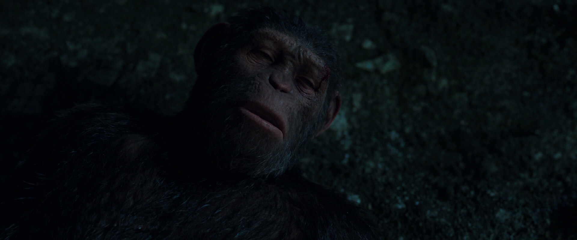 War for the Planet of the Apes (2017) HD screenshot 7691