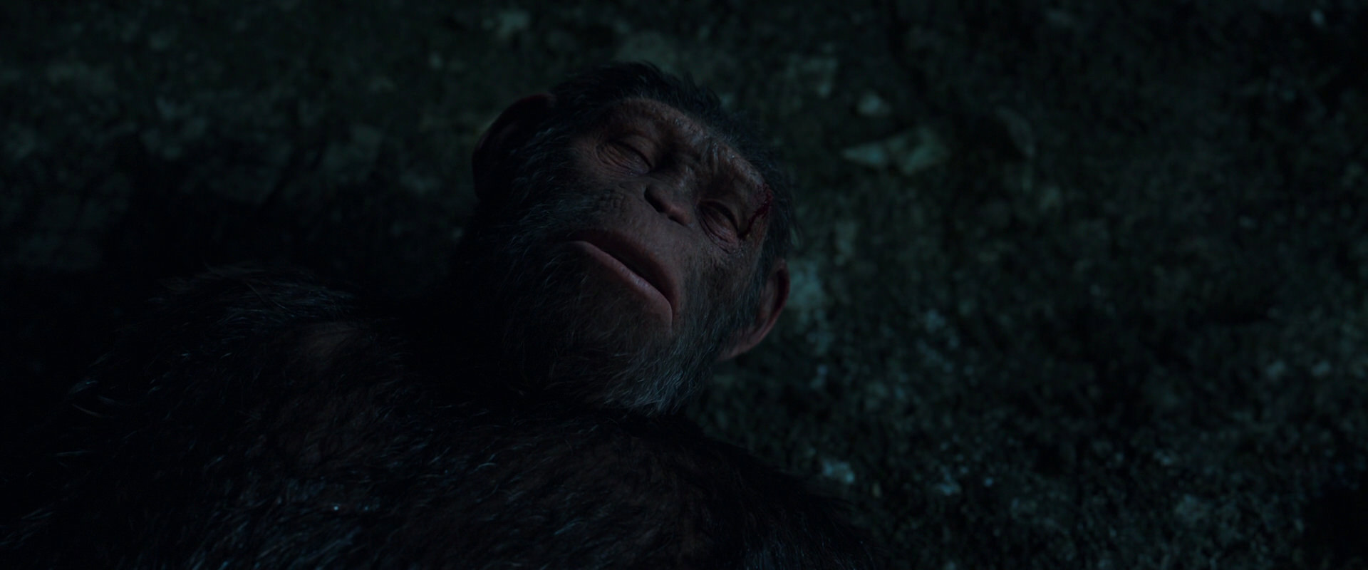 War for the Planet of the Apes (2017) screencap 7692