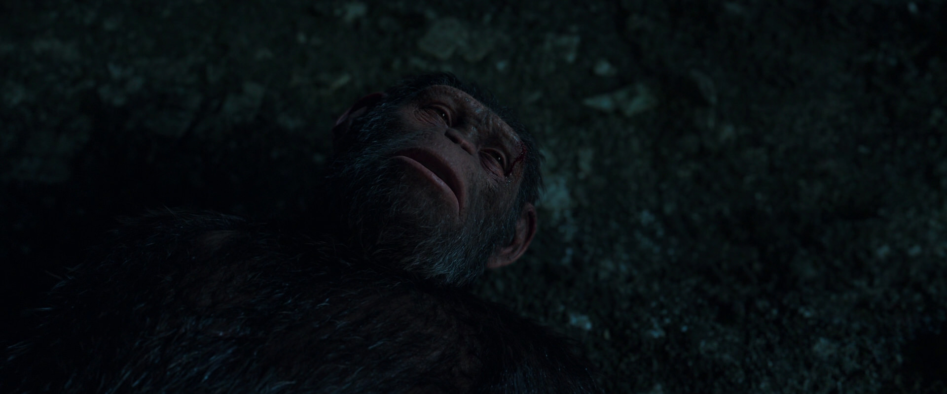 War for the Planet of the Apes (2017) screencap 7698