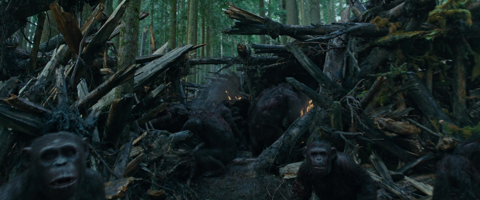 War for the Planet of the Apes (2017) HD screenshot 770