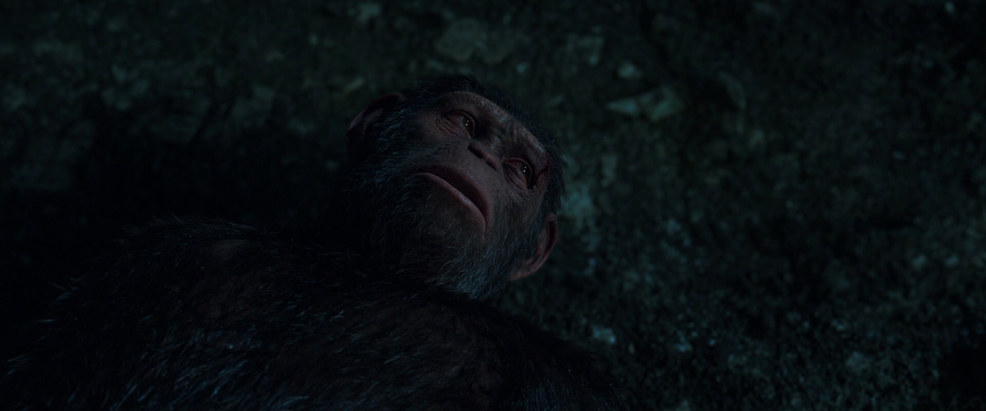 War for the Planet of the Apes (2017) movie still 7702