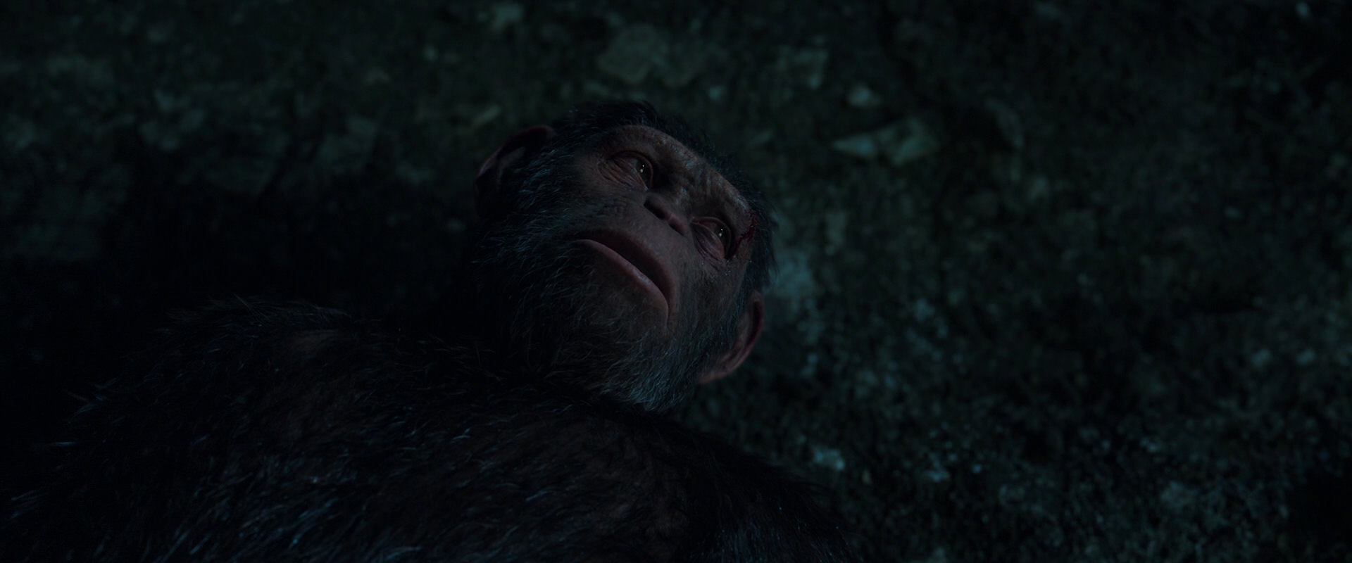 War for the Planet of the Apes (2017) HD screenshot 7703