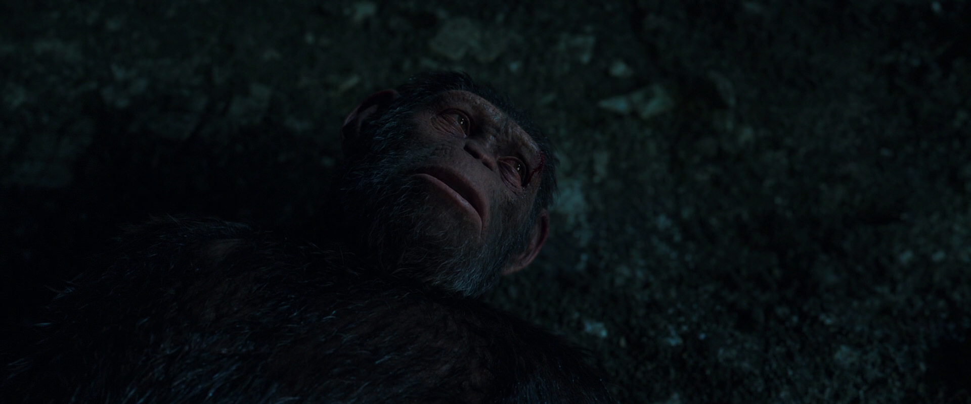 War for the Planet of the Apes (2017) screencap 7704