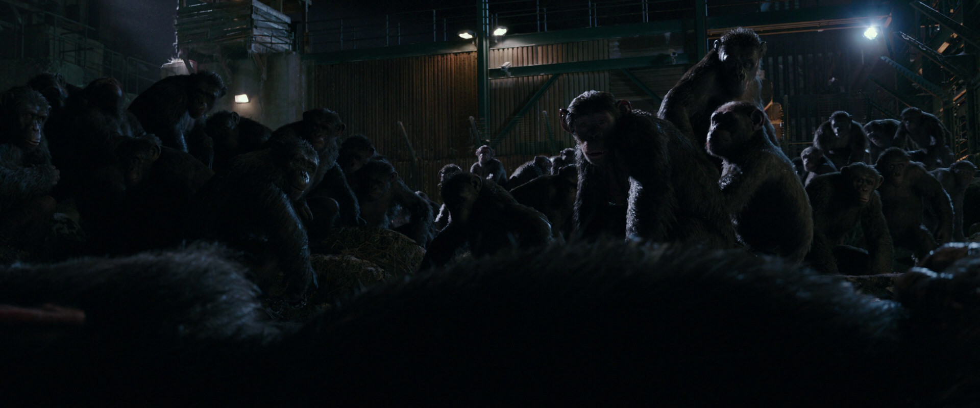 War for the Planet of the Apes (2017) movie still 7705