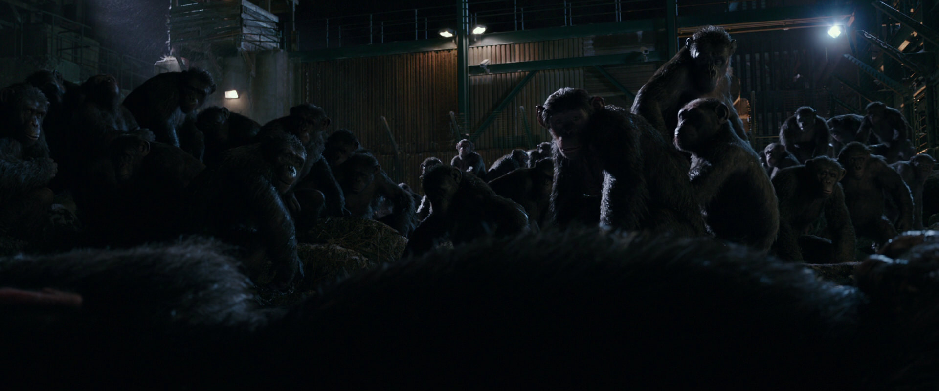 War for the Planet of the Apes (2017) HD screenshot 7706