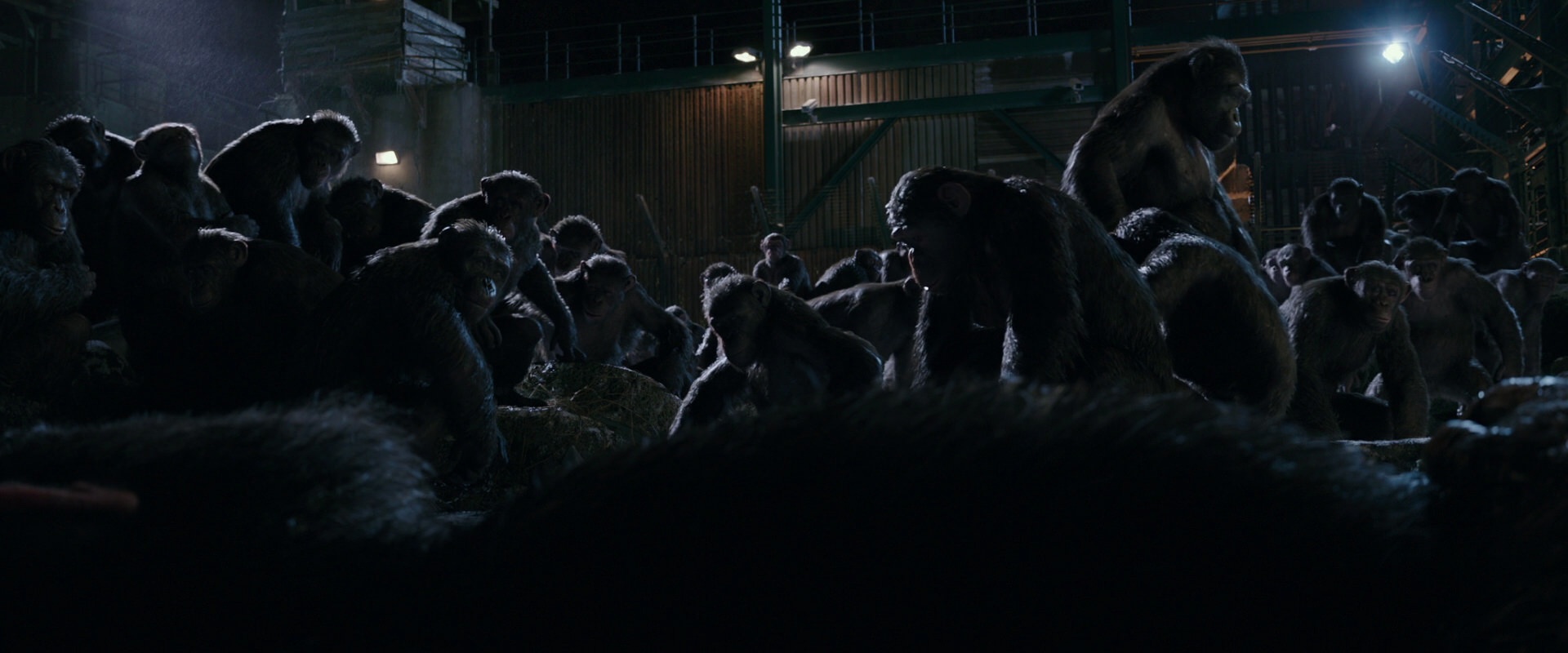 War for the Planet of the Apes (2017) movie still 7708