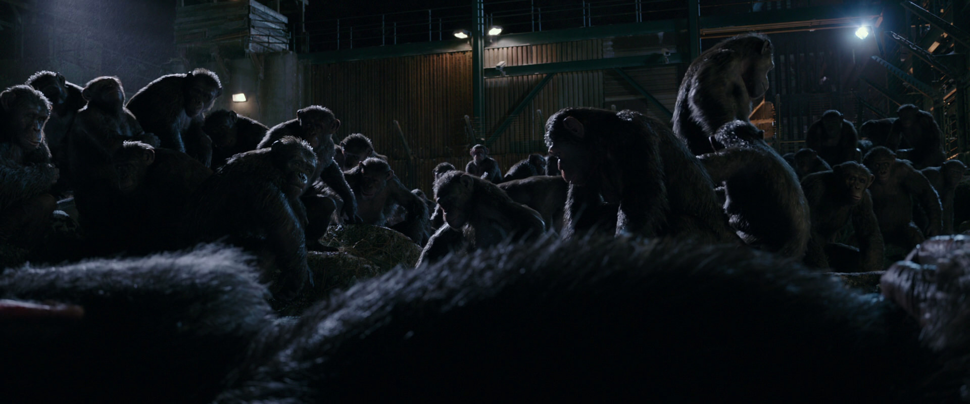 War for the Planet of the Apes (2017) HD screenshot 7709