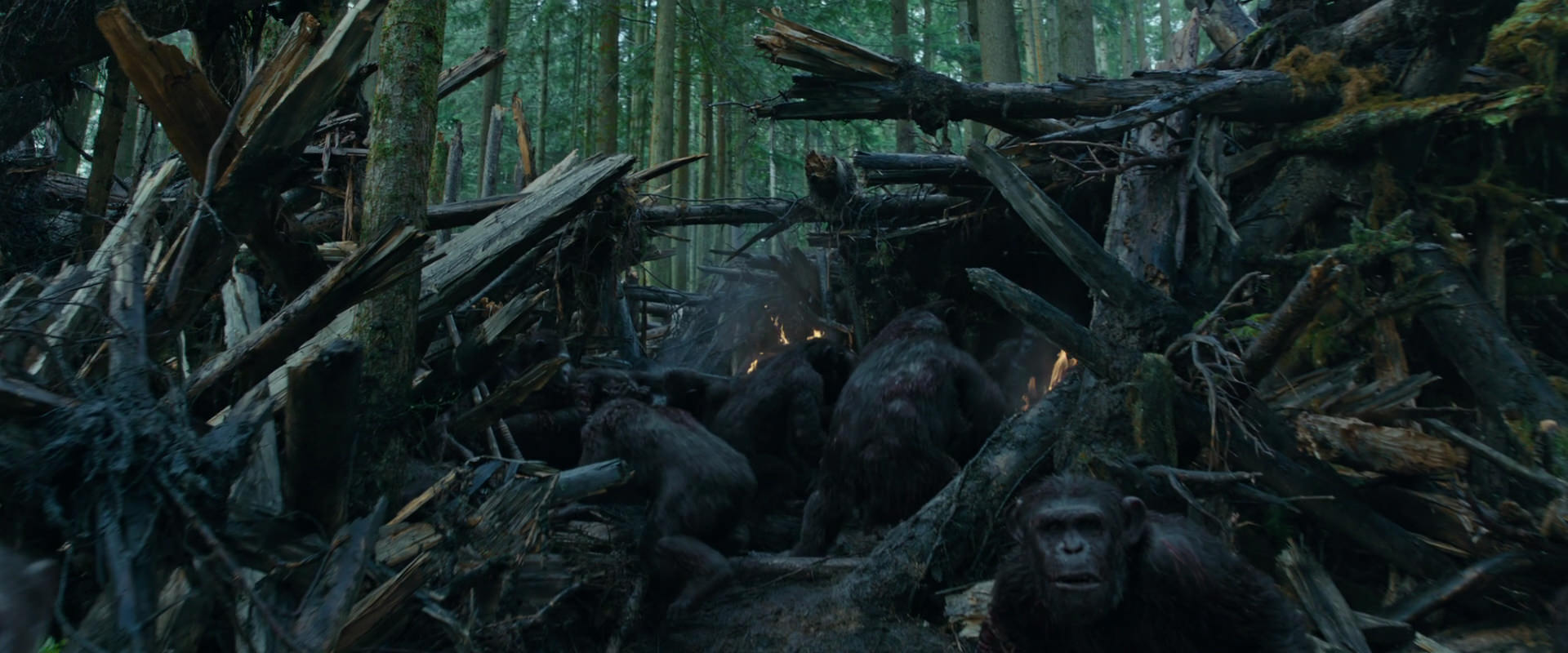 War for the Planet of the Apes (2017) screencap 771