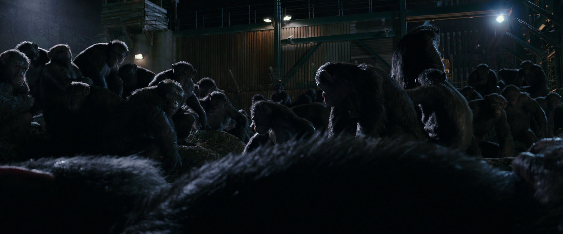 War for the Planet of the Apes (2017) screencap 7710