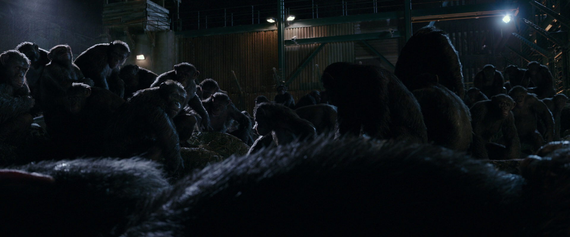 War for the Planet of the Apes (2017) movie still 7711