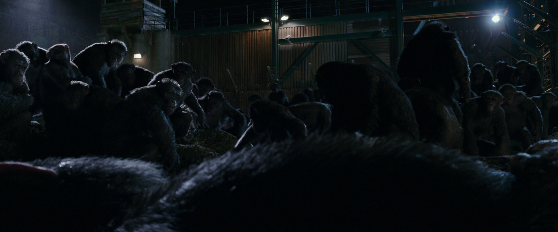 War for the Planet of the Apes (2017) HD screenshot 7712