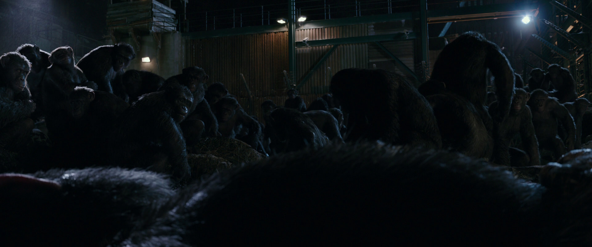 War for the Planet of the Apes (2017) movie still 7714