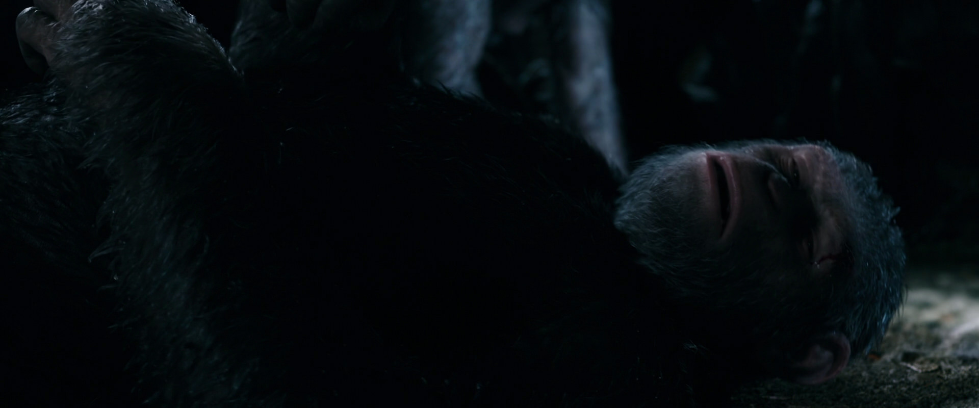 War for the Planet of the Apes (2017) movie still 7717