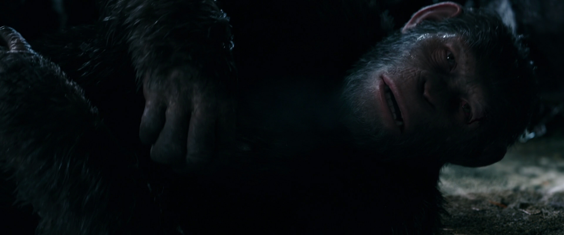 War for the Planet of the Apes (2017) screencap 7719