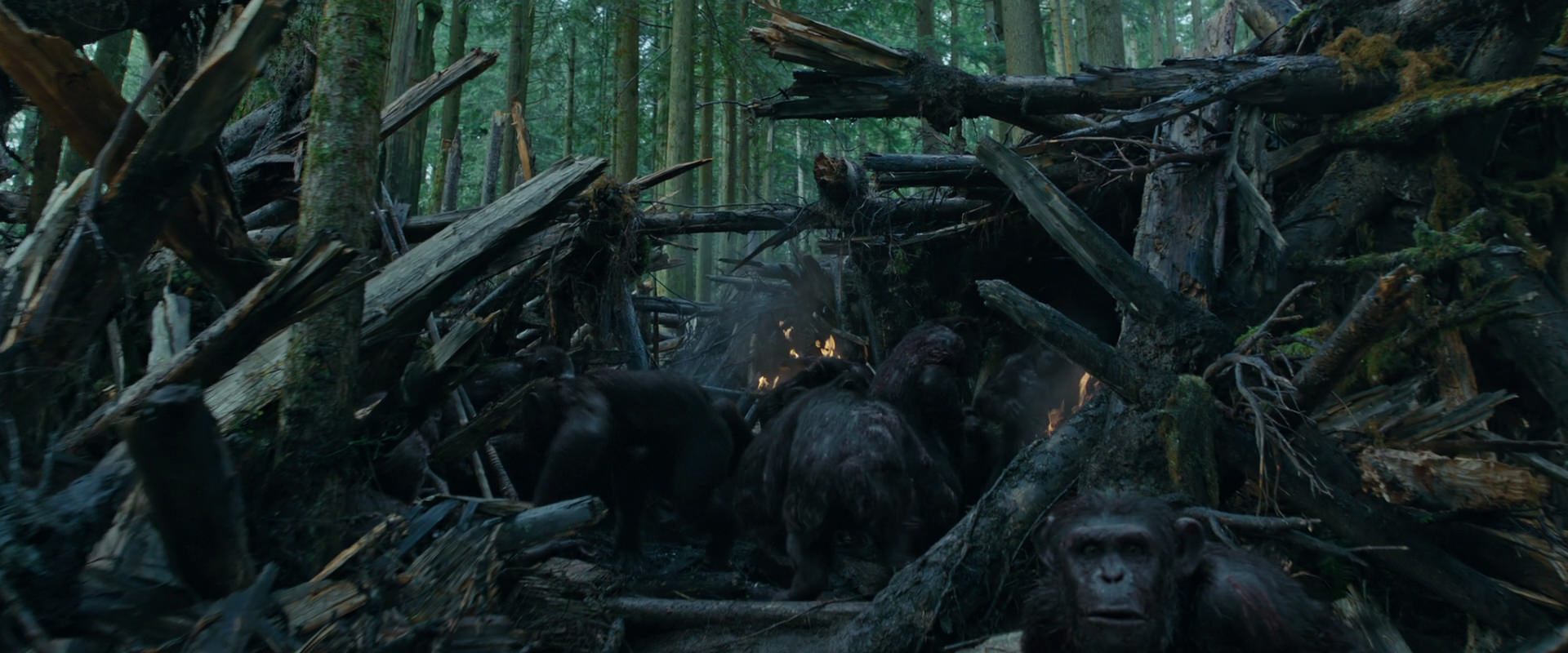 War for the Planet of the Apes (2017) movie still 772