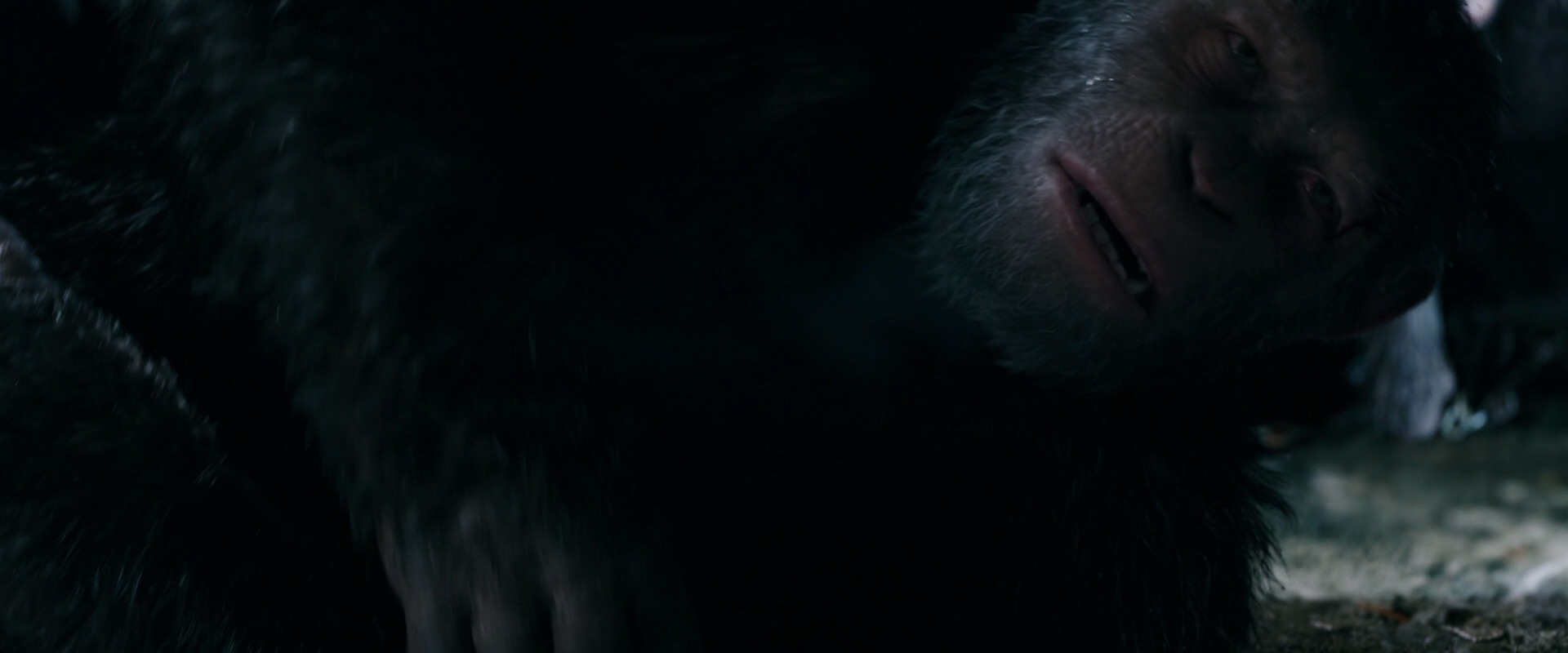 War for the Planet of the Apes (2017) movie still 7720