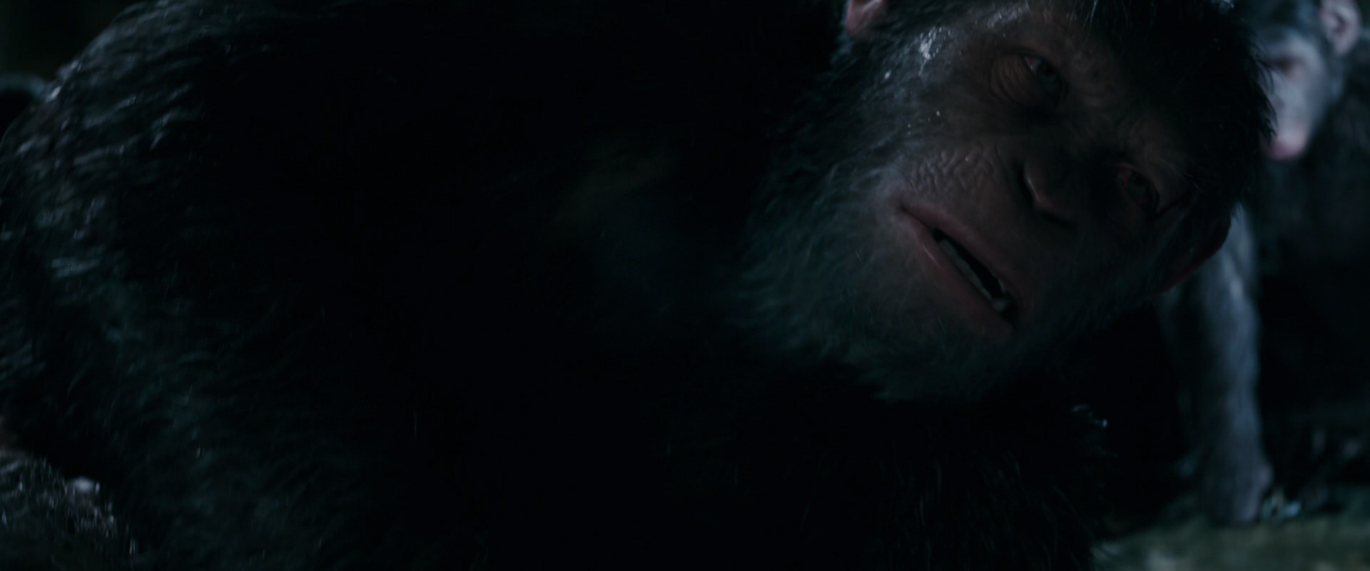 War for the Planet of the Apes (2017) HD screenshot 7721