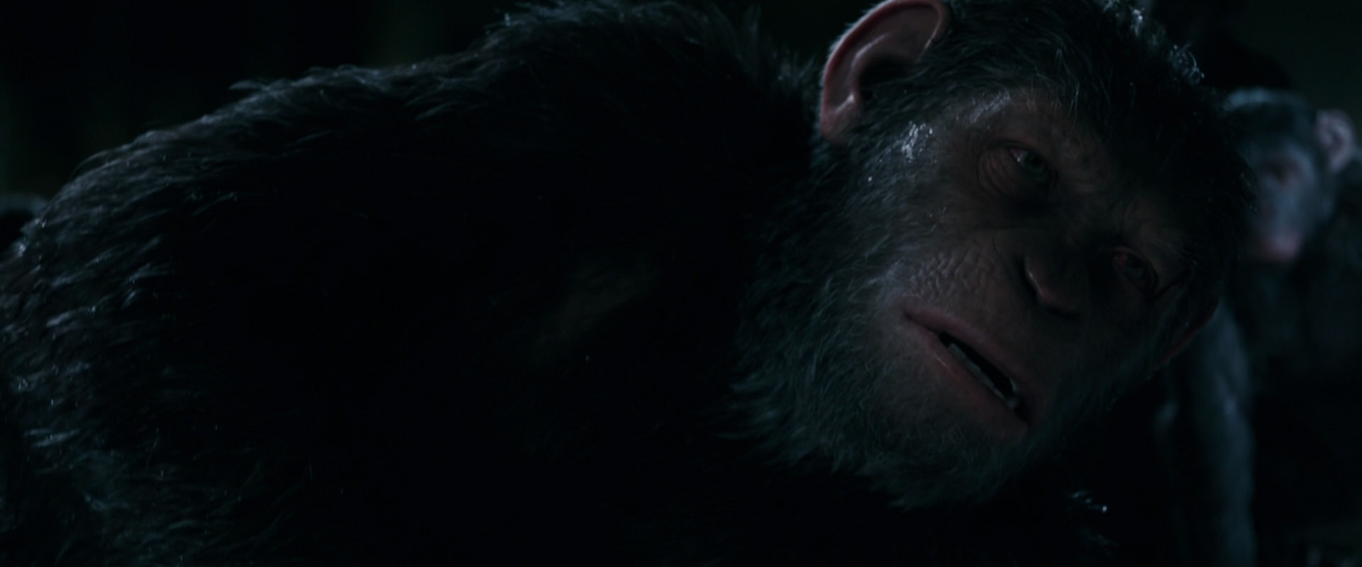 War for the Planet of the Apes (2017) screencap 7722