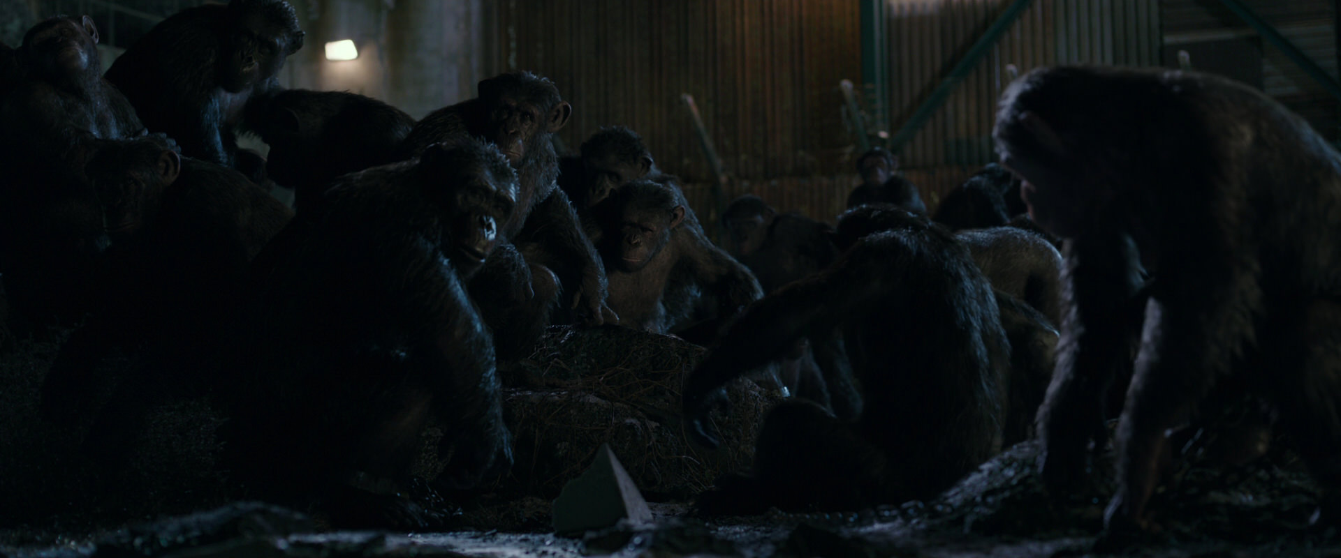 War for the Planet of the Apes (2017) movie still 7723