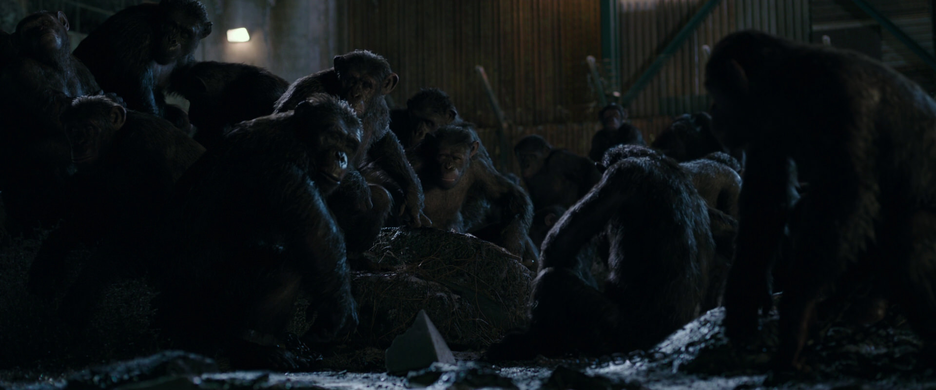 War for the Planet of the Apes (2017) HD screenshot 7724