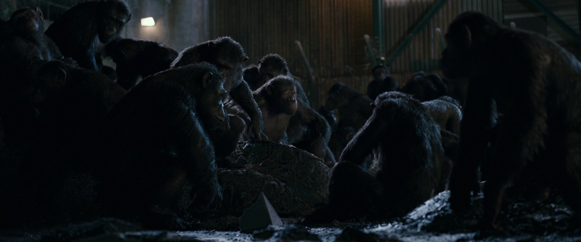 War for the Planet of the Apes (2017) screencap 7725