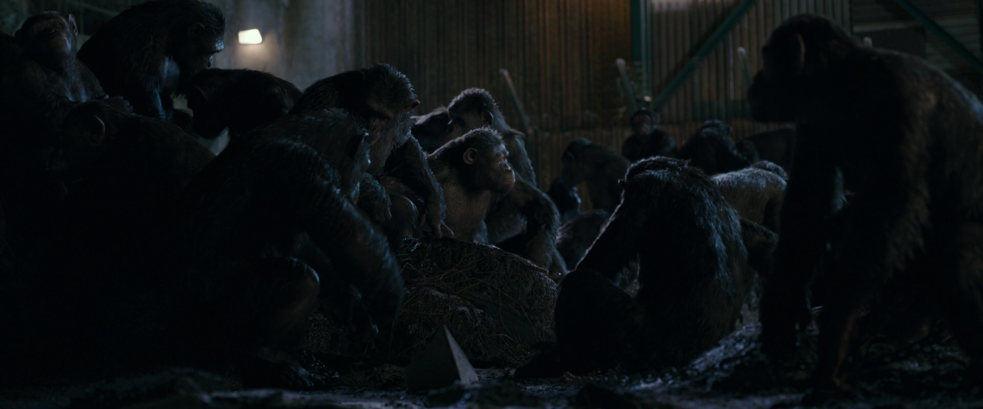 War for the Planet of the Apes (2017) movie still 7726