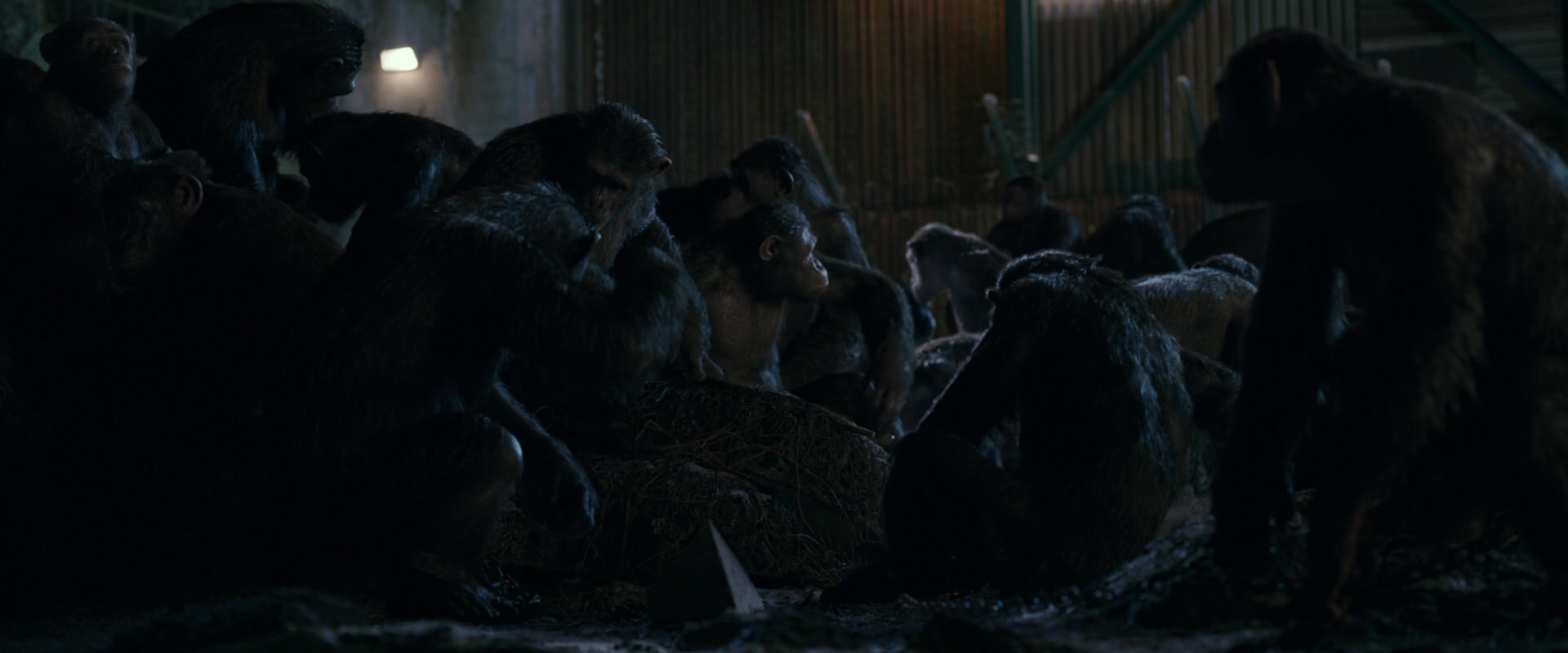 War for the Planet of the Apes (2017) HD screenshot 7727