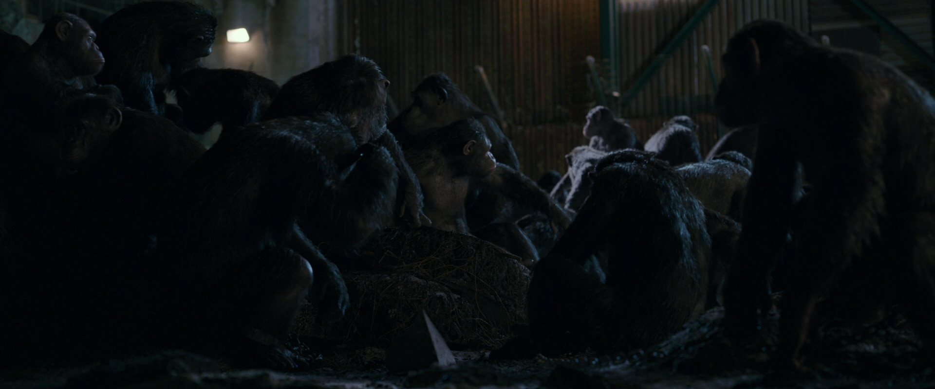 War for the Planet of the Apes (2017) screencap 7728