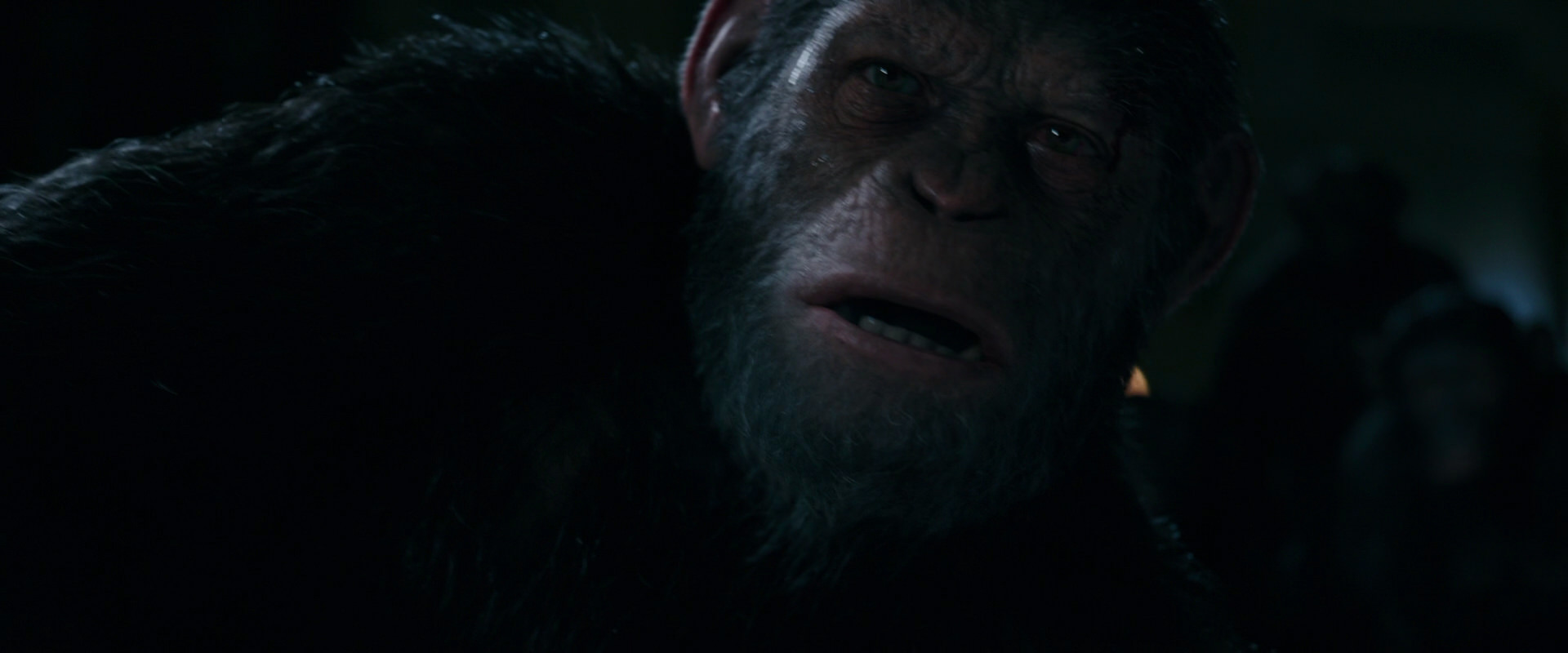 War for the Planet of the Apes (2017) movie still 7729