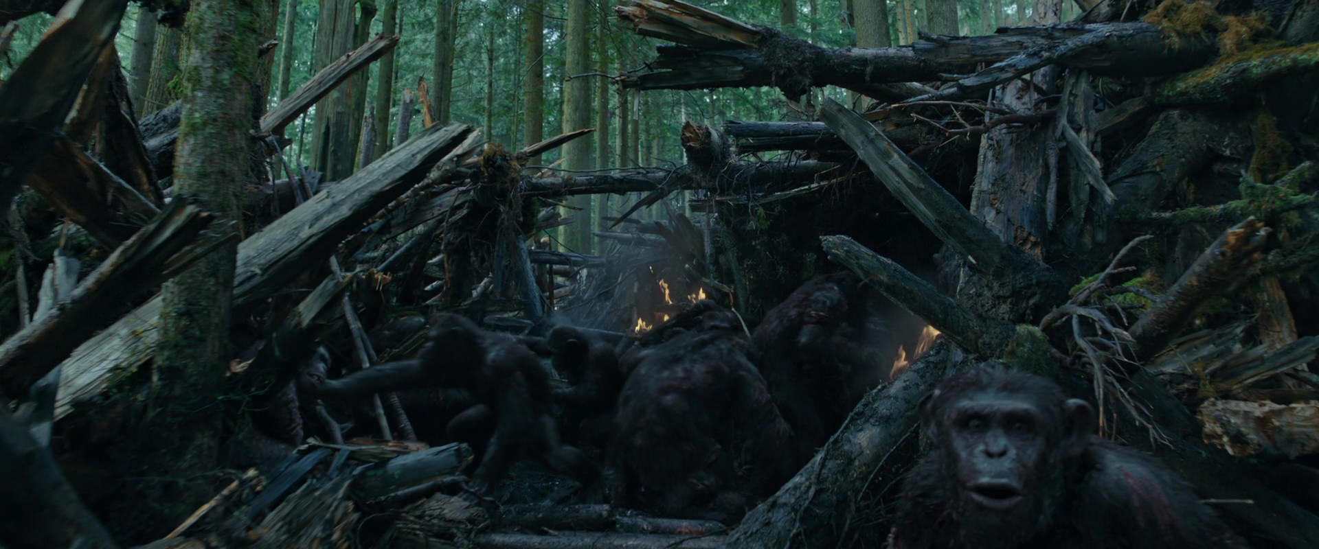War for the Planet of the Apes (2017) HD screenshot 773