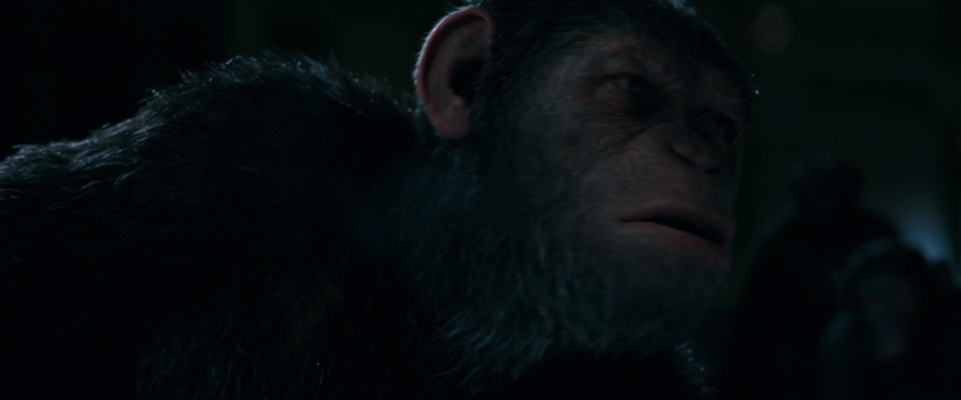 War for the Planet of the Apes (2017) HD screenshot 7733