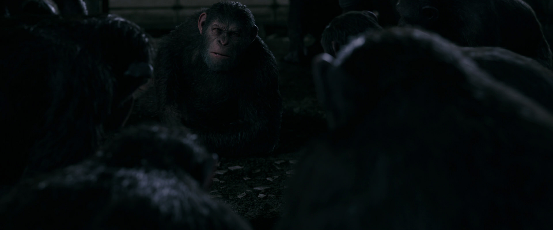 War for the Planet of the Apes (2017) screencap 7734