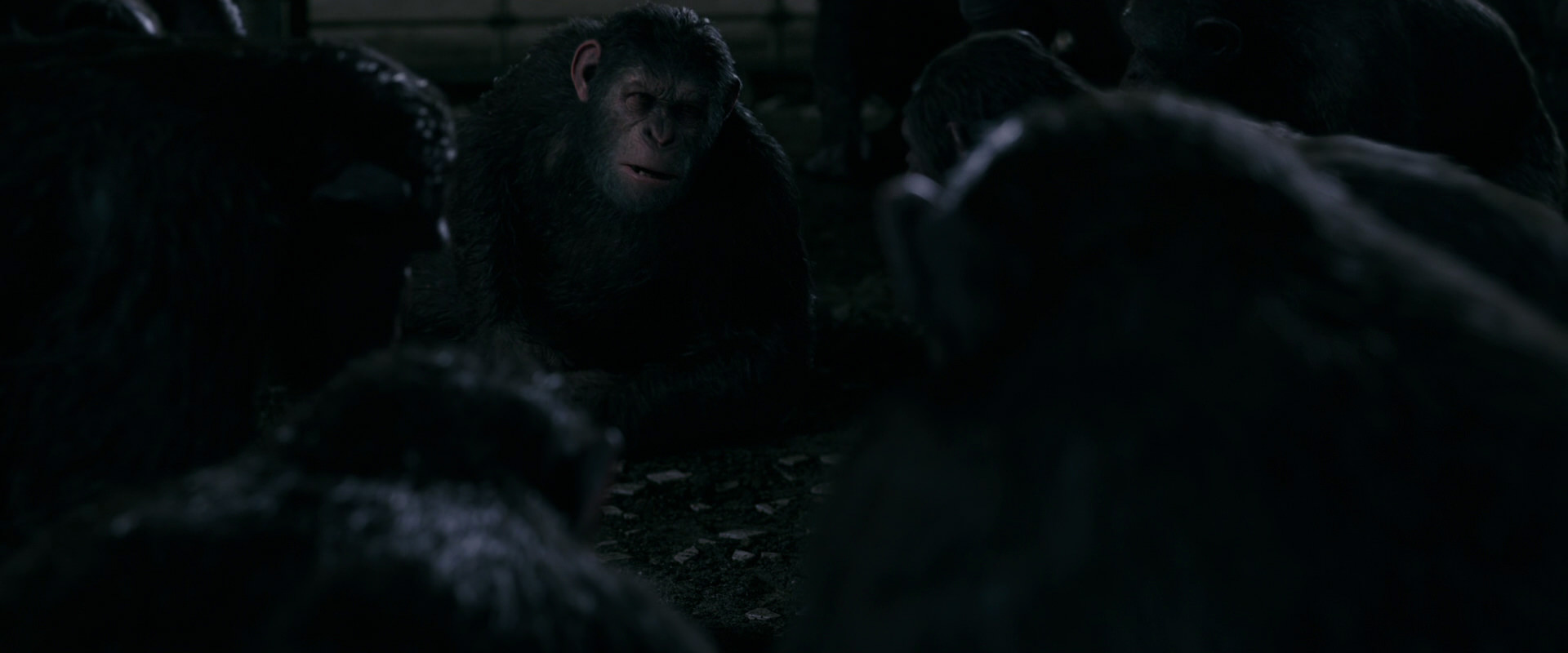 War for the Planet of the Apes (2017) movie still 7735