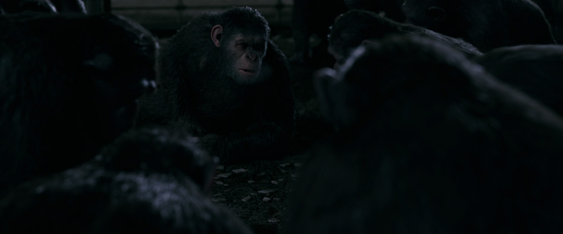 War for the Planet of the Apes (2017) HD screenshot 7736