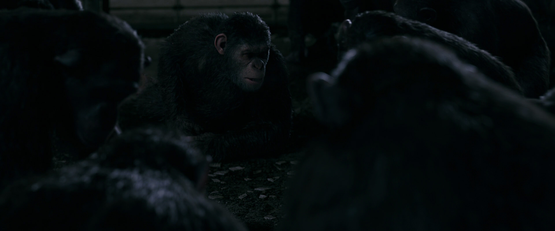 War for the Planet of the Apes (2017) screencap 7737