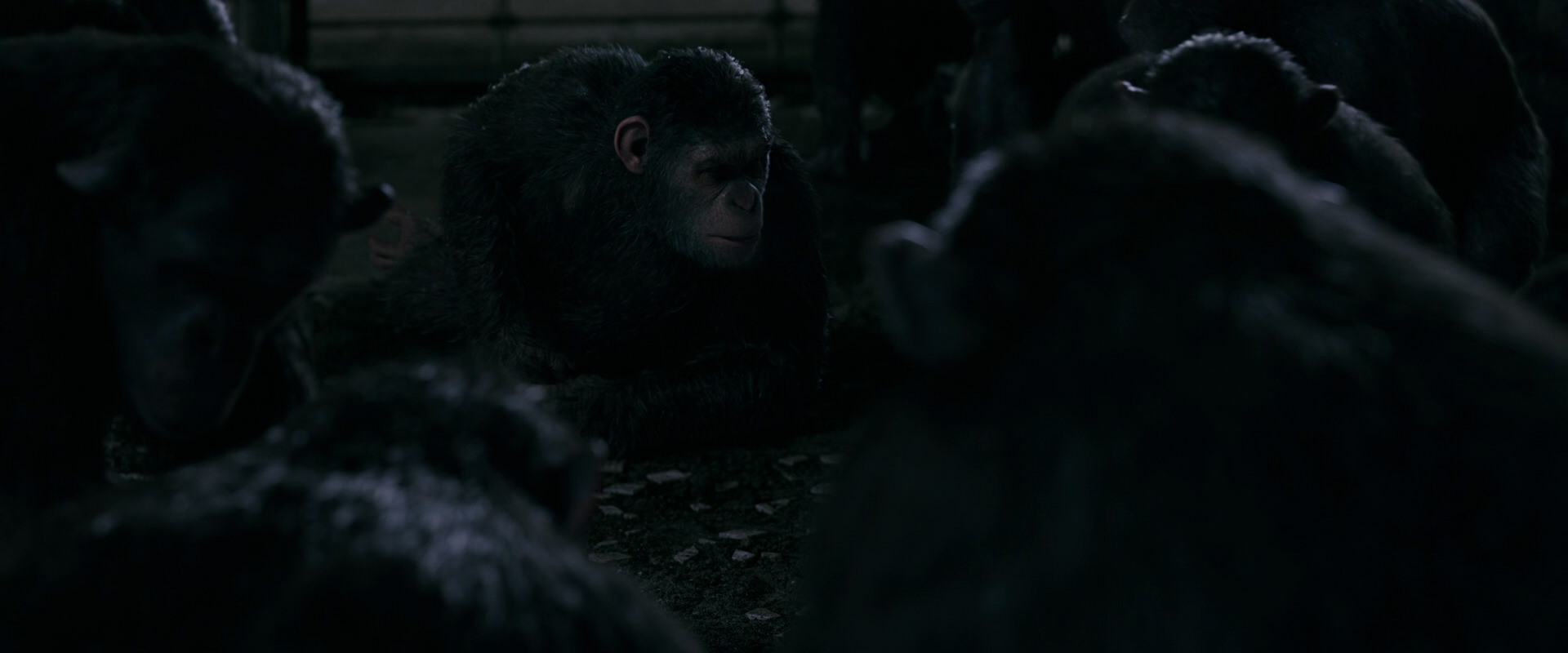 War for the Planet of the Apes (2017) movie still 7738