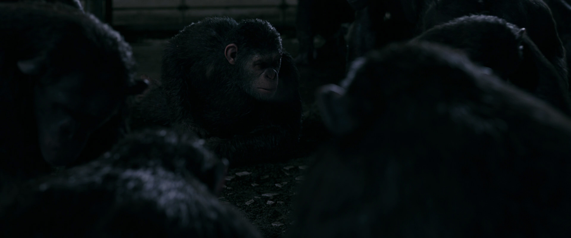 War for the Planet of the Apes (2017) HD screenshot 7739