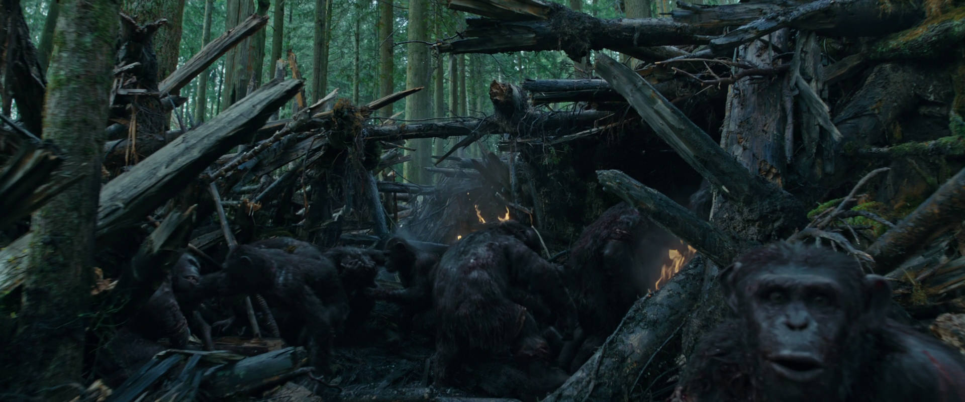 War for the Planet of the Apes (2017) screencap 774