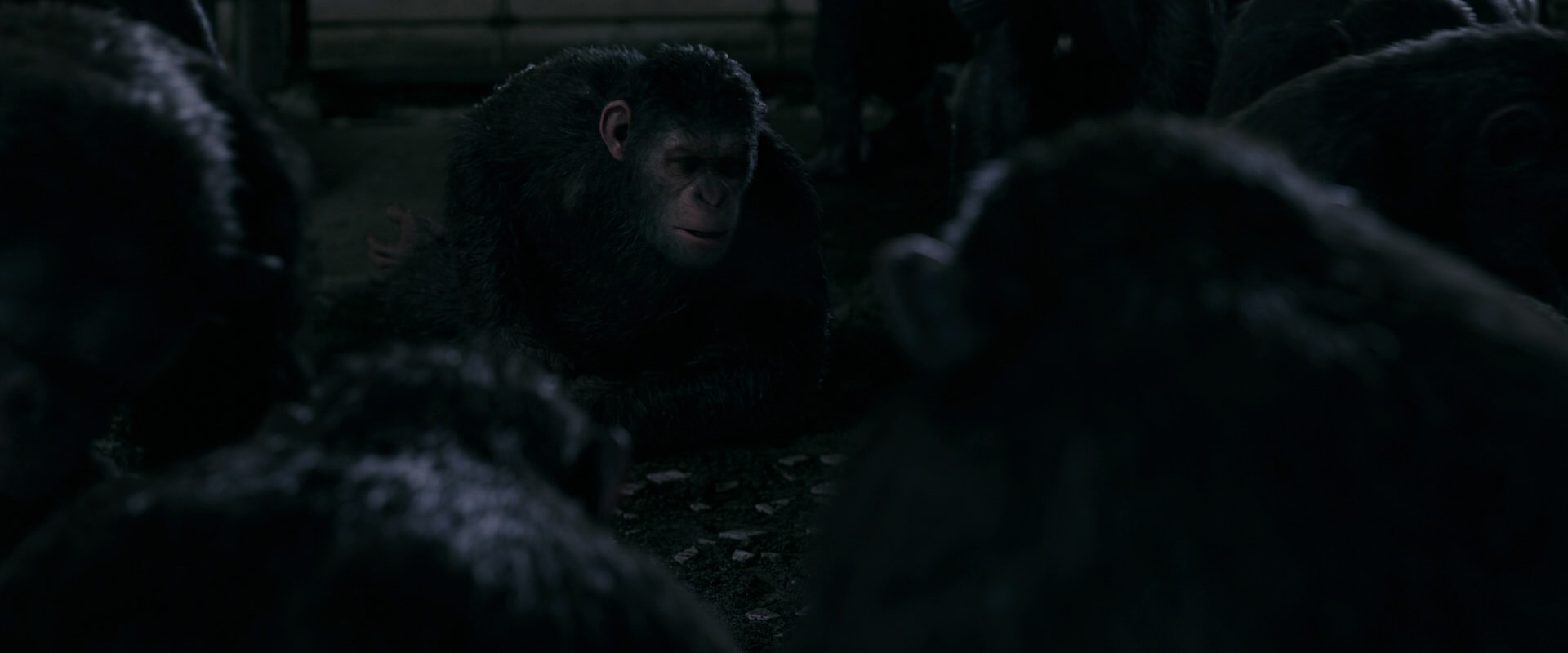 War for the Planet of the Apes (2017) screencap 7740