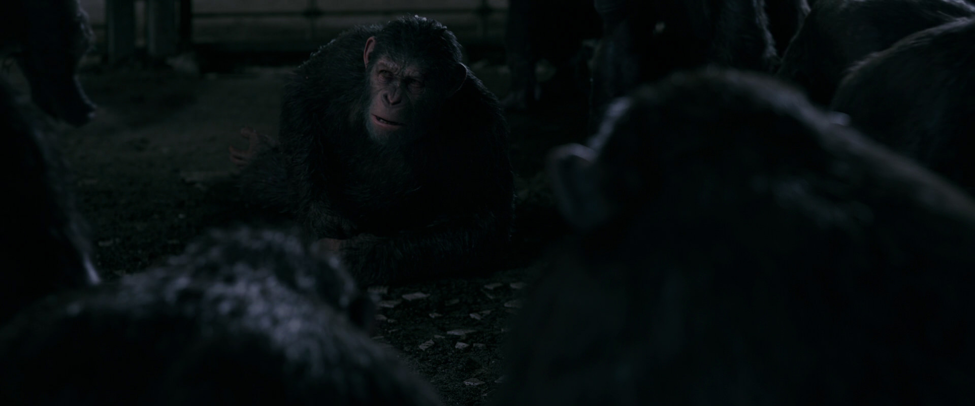 War for the Planet of the Apes (2017) movie still 7741
