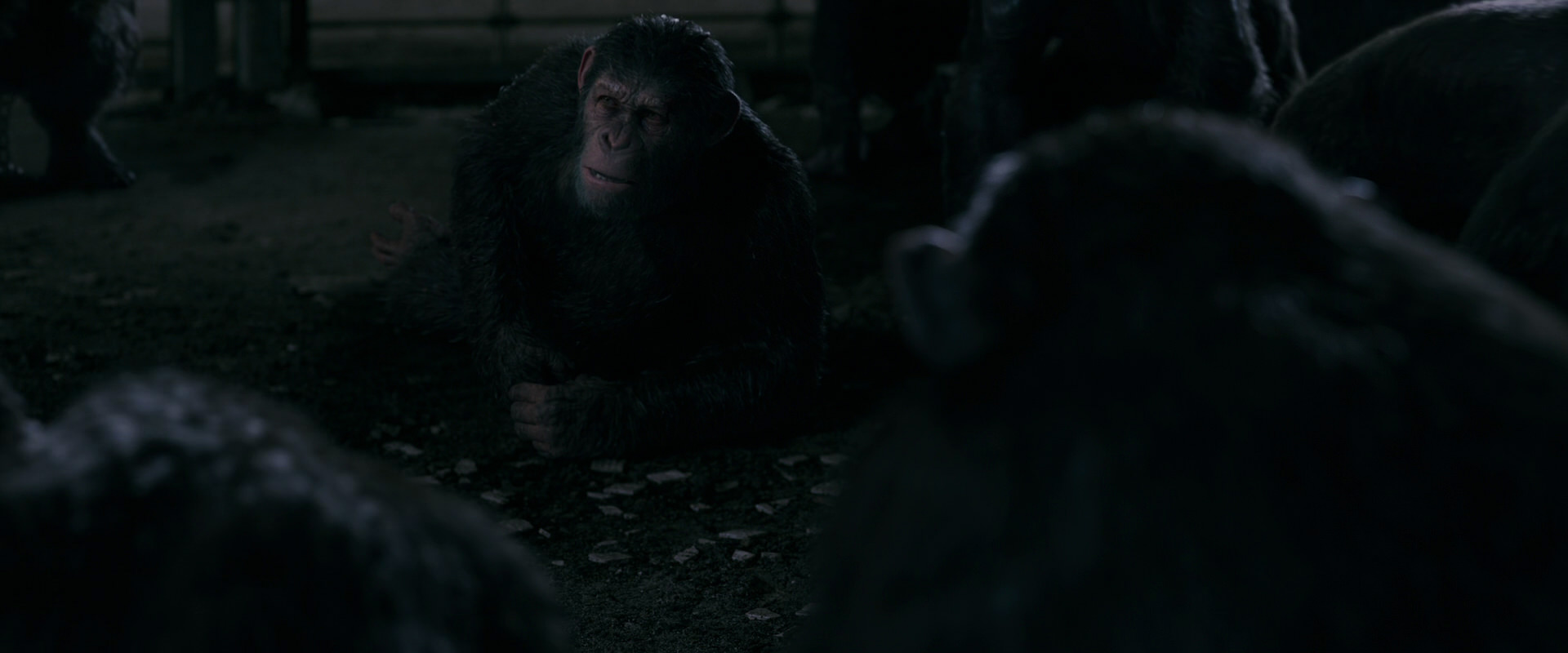 War for the Planet of the Apes (2017) HD screenshot 7742