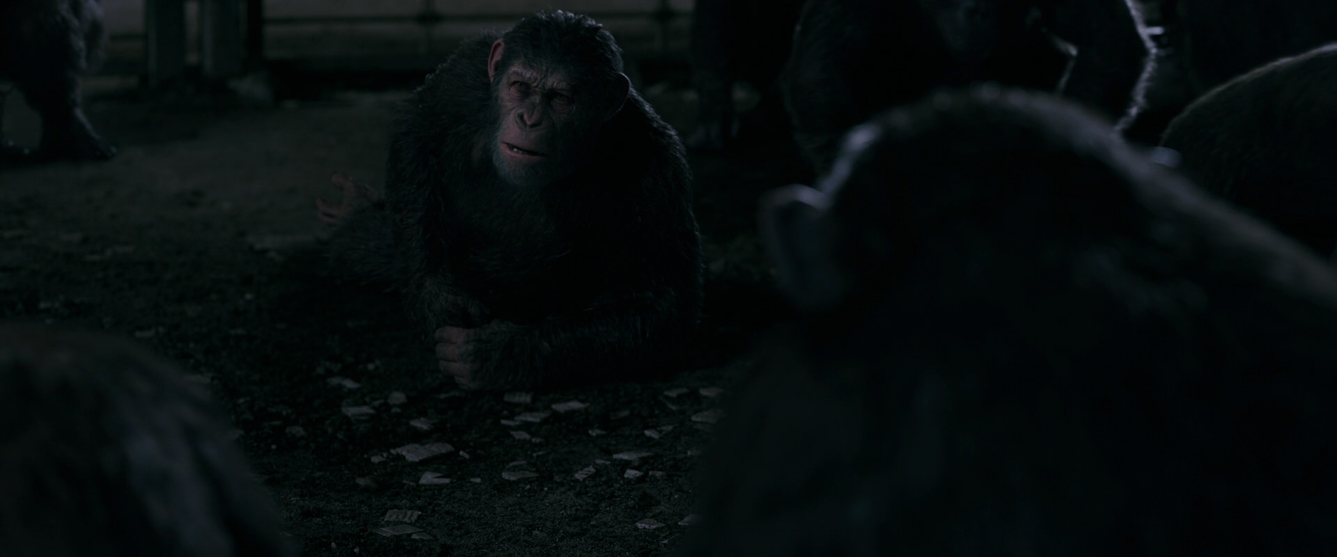 War for the Planet of the Apes (2017) screencap 7743
