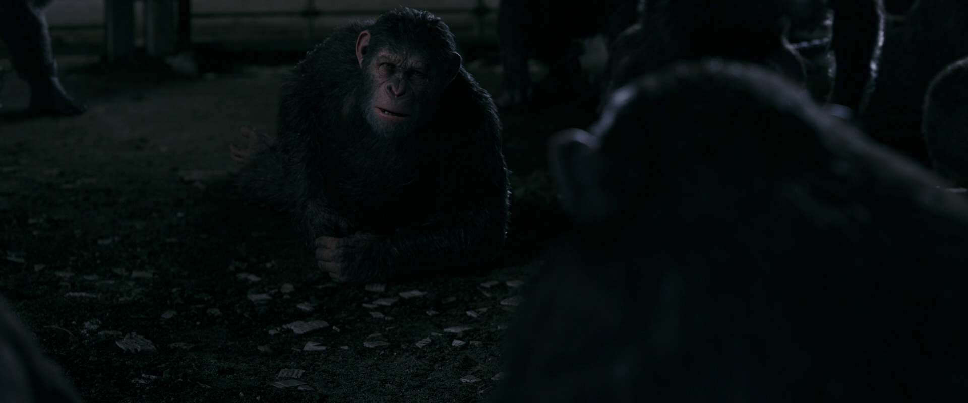 War for the Planet of the Apes (2017) movie still 7744
