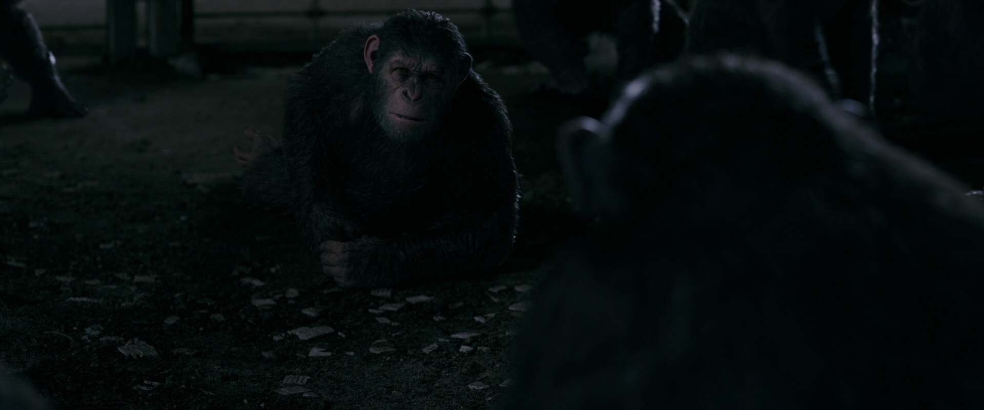 War for the Planet of the Apes (2017) HD screenshot 7745