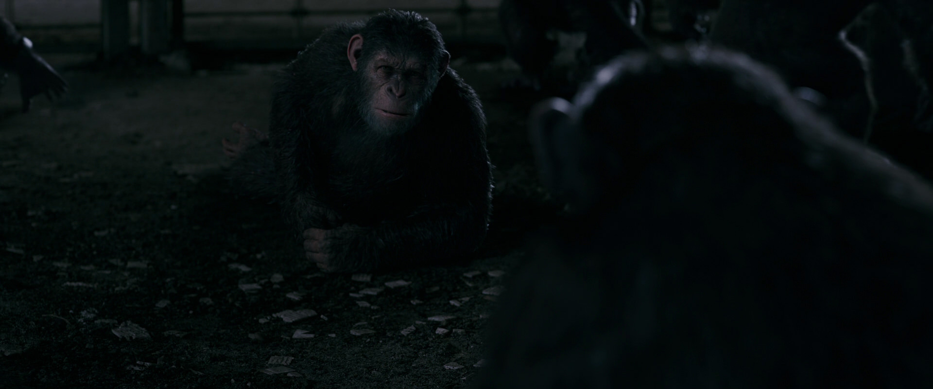 War for the Planet of the Apes (2017) screencap 7746