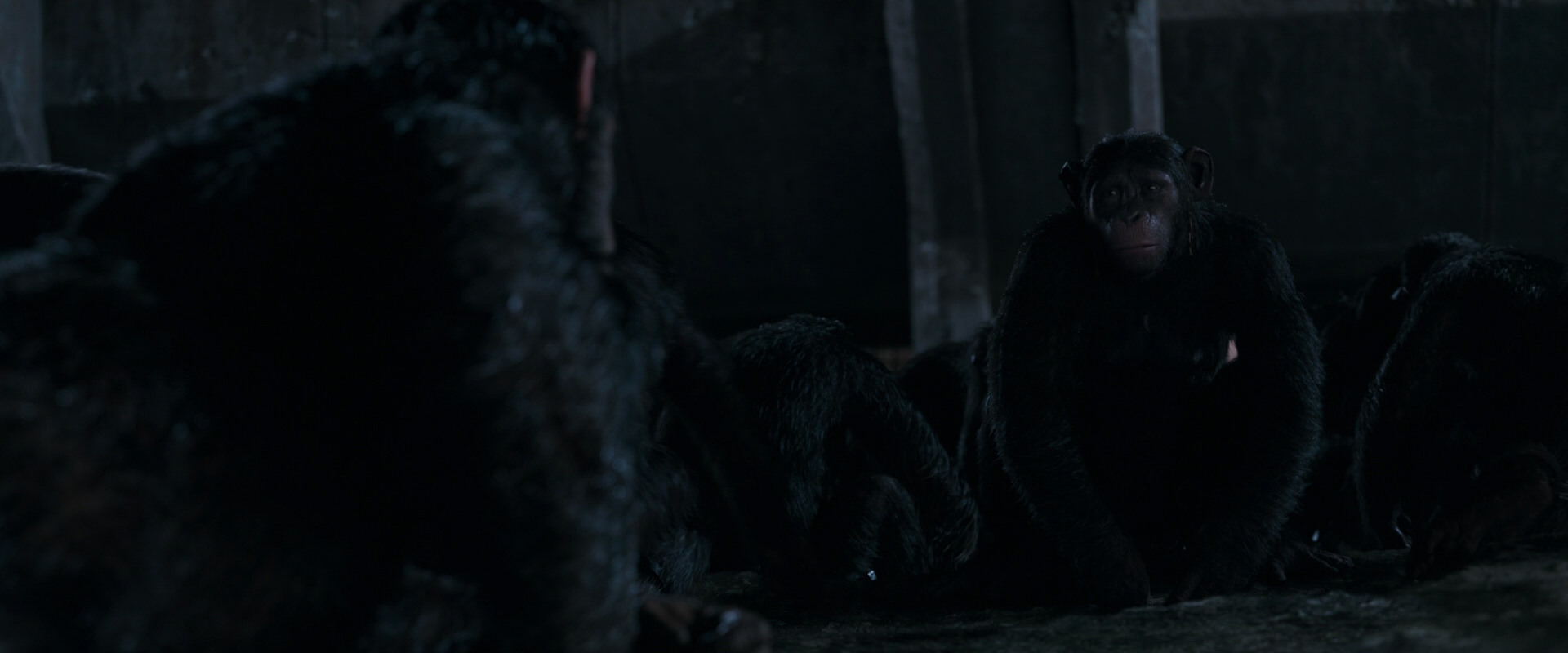 War for the Planet of the Apes (2017) movie still 7747