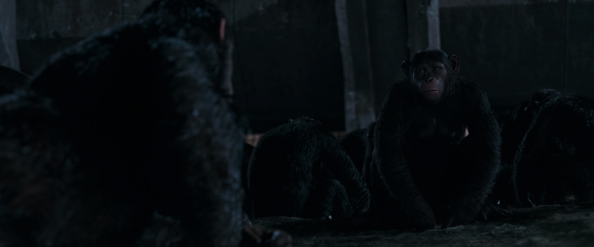 War for the Planet of the Apes (2017) HD screenshot 7748