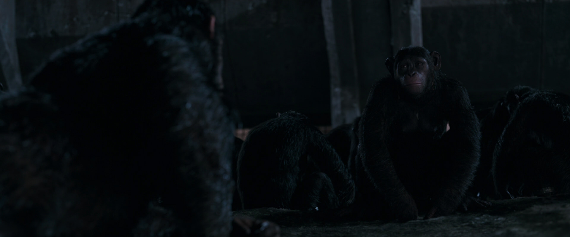War for the Planet of the Apes (2017) screencap 7749